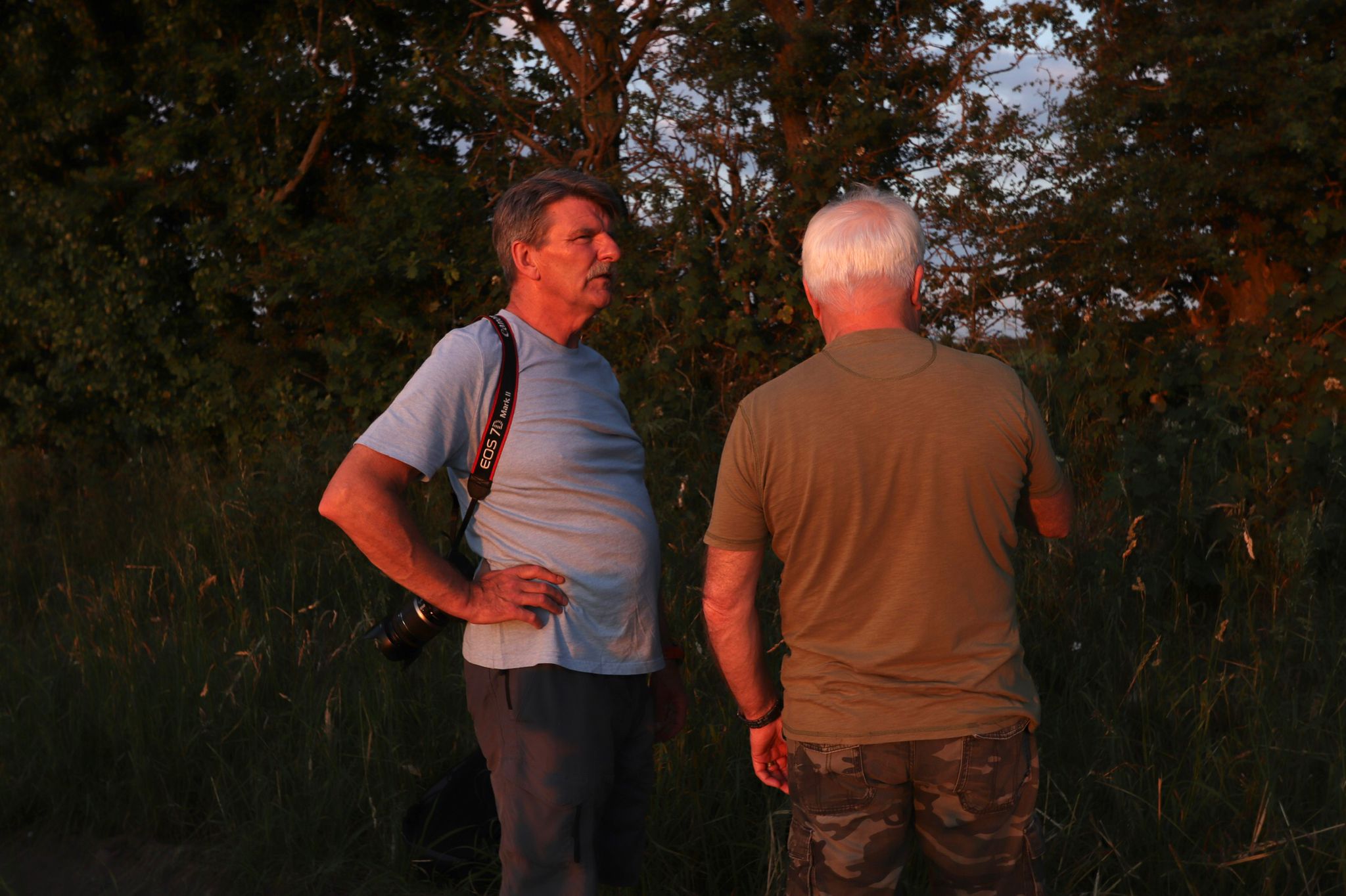 placeholder image-sq